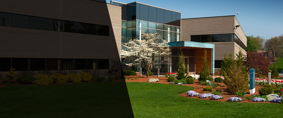 Sebastopol Landscapers