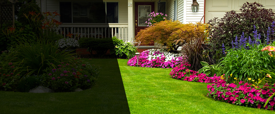Sebastopol Landscapers