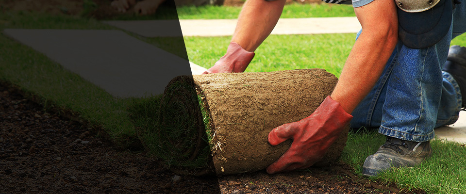 Sebastopol Landscapers